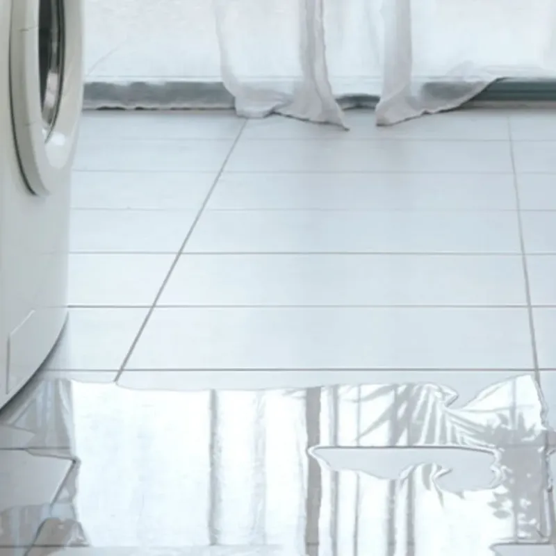 Appliance Leak Cleanup in Saint James, MN