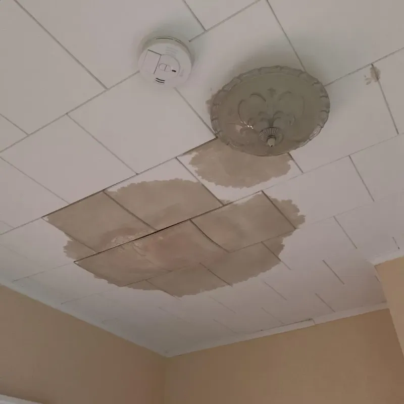 Ceiling Water Damage Repair in Saint James, MN